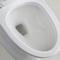 강력한 듀얼 급증과 미국 표준 편의시설 높이 하얀 욕실 화장실