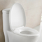 강력한 듀얼 급증과 미국 표준 편의시설 높이 하얀 욕실 화장실