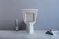 10-인치 개략적 공정 빨대 플러싱과 미국 표준 두 조각 화장실