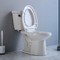10-인치 개략적 공정 빨대 플러싱과 미국 표준 두 조각 화장실