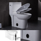 현대 1조각 스커트형 화장실 라운드 석 하얀 기다랗 편의시설 높이
