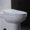 ADA 1조각 기다랗 편의시설 높이 화장실 미국 표준 백인