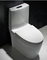 어떤 방해물 CUPC 화장실 사이펀와류식변기 화장실 표준 높이