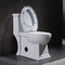 장애 미국 표준 Ada 기다랗 화장실 1 조각 물 보존